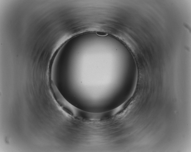 X0000098200902200804241250
