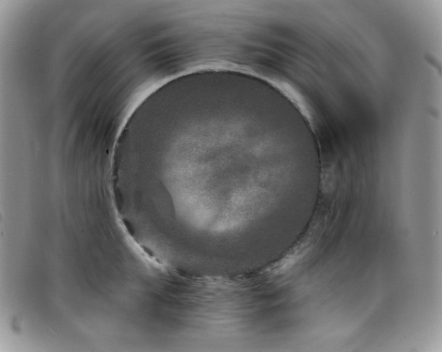X0000098200903200804241250