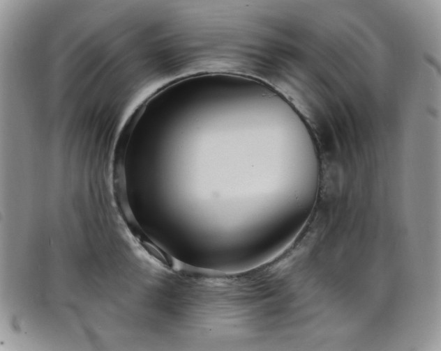 X0000098200904200804241250