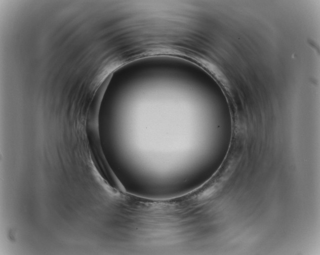 X0000098200905200804241250