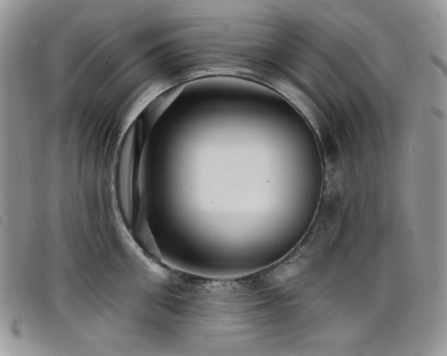 X0000098200906200804241250