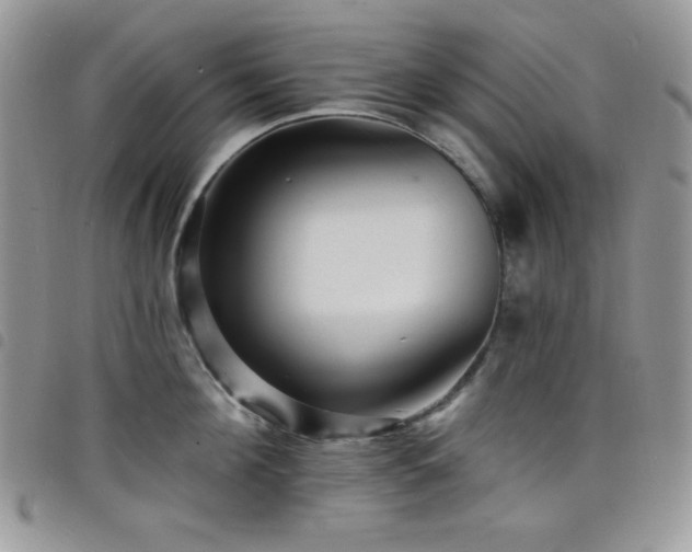 X0000098200908200804241250