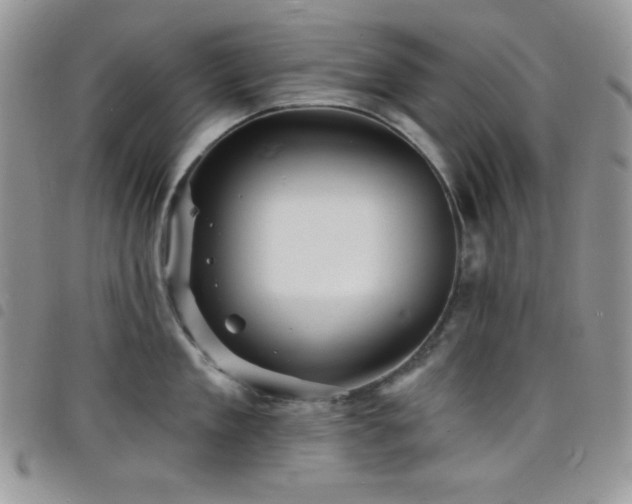 X0000098200909200804241250