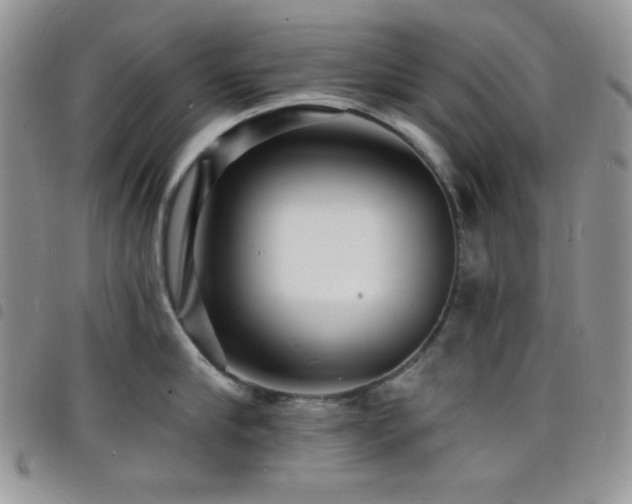 X0000098200910200804241250