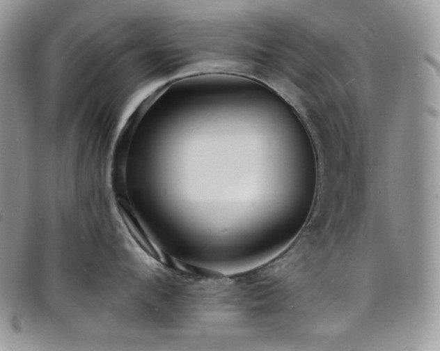 X0000098200912200804241250