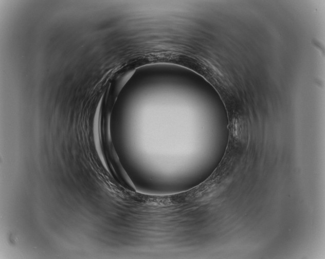 X0000098200915200804241249