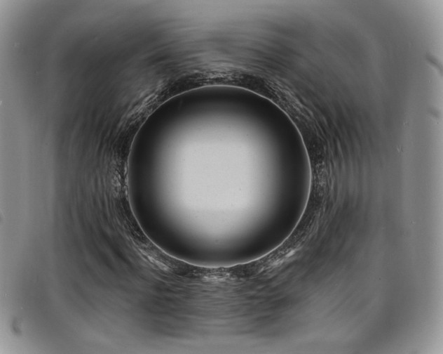 X0000098200916200804241249