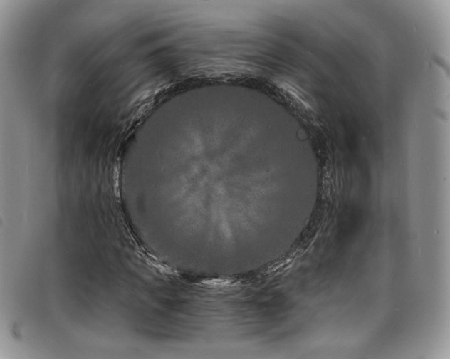 X0000098200917200804241249