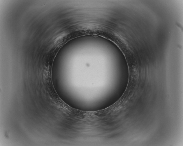 X0000098200918200804241249