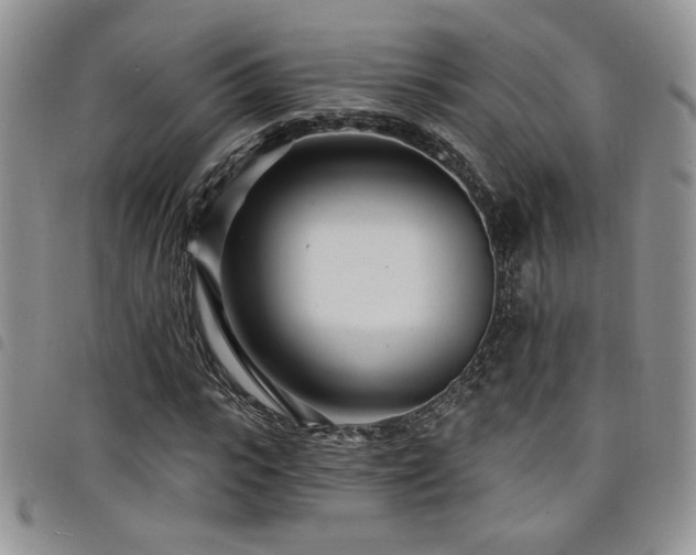 X0000098200919200804241249