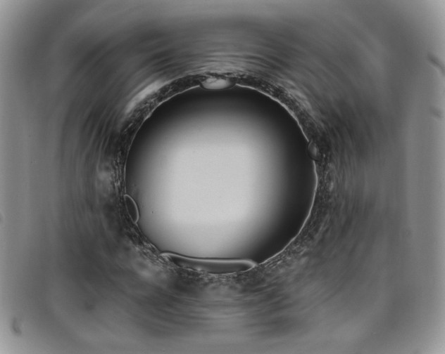 X0000098200920200804241249