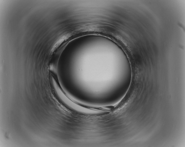X0000098200922200804241249
