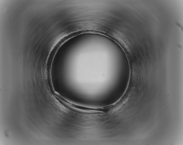 X0000098200924200804241249