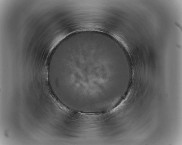 X0000098200925200804241249