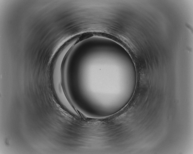 X0000098200926200804241249