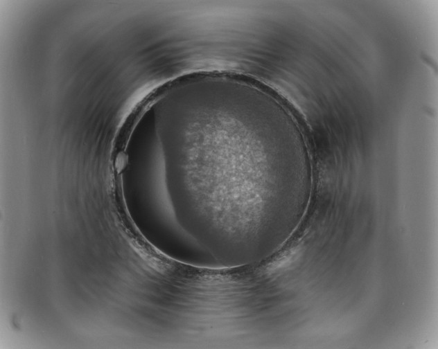 X0000098200927200804241249
