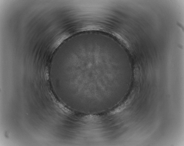 X0000098200929200804241249