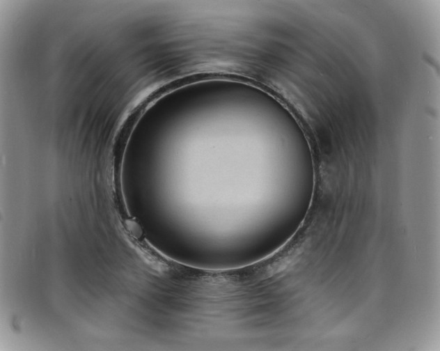 X0000098200931200804241249
