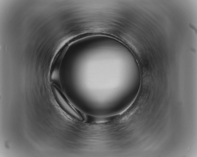 X0000098200932200804241249