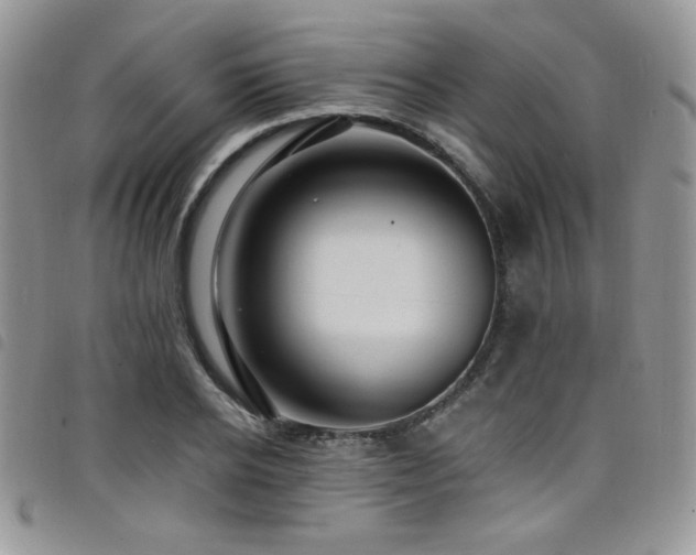 X0000098200934200804241249