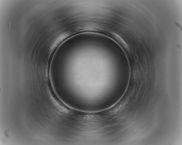 X0000098200938200804241249