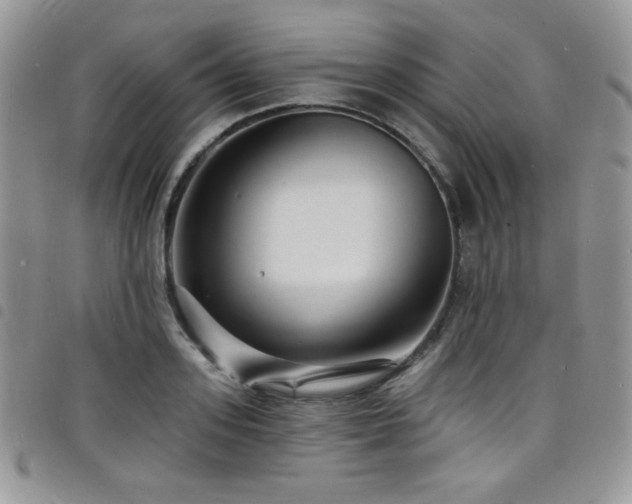 X0000098200939200804241249