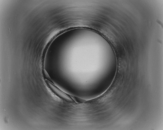 X0000098200942200804241249