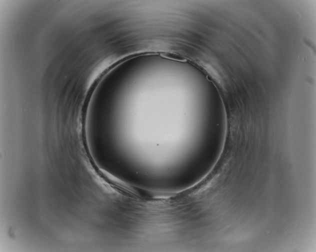 X0000098200944200804241249
