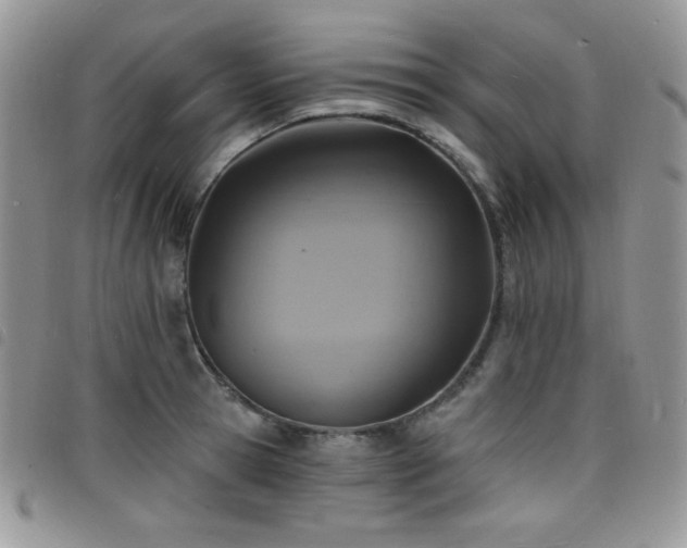 X0000098200945200804241249