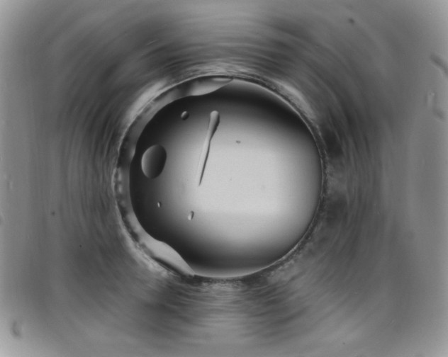 X0000098200946200804241249