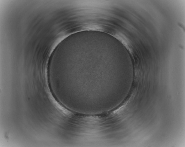 X0000098200947200804241249