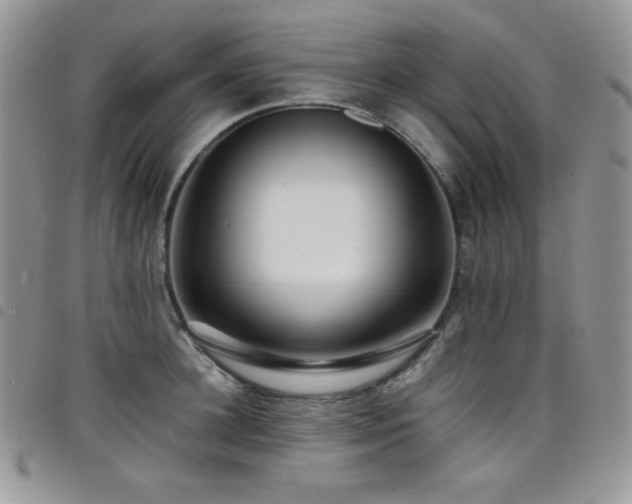 X0000098200948200804241249
