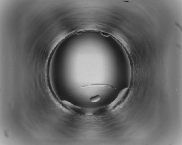 X0000098200949200804241249