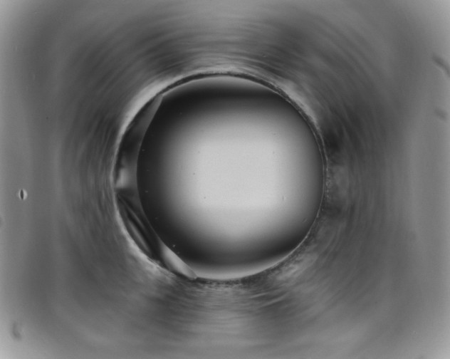 X0000098200951200804241249