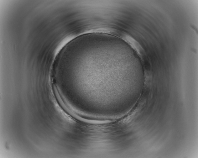X0000098200952200804241249
