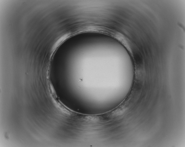 X0000098200954200804241249