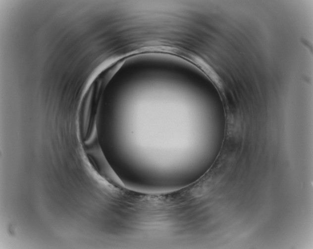 X0000098200955200804241250