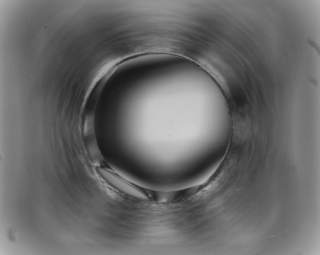 X0000098200956200804241250