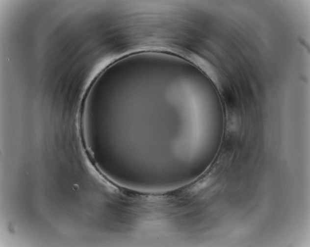 X0000098200958200804241250