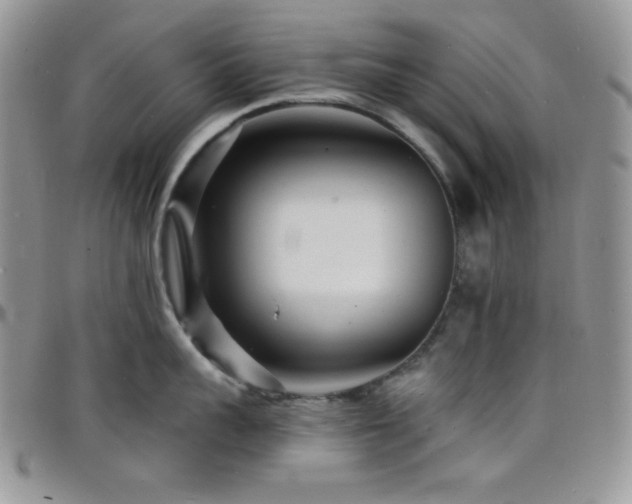 X0000098200959200804241250