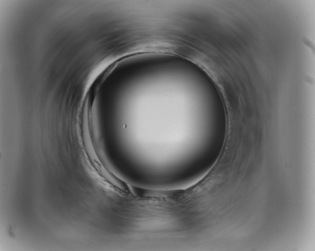 X0000098200960200804241250