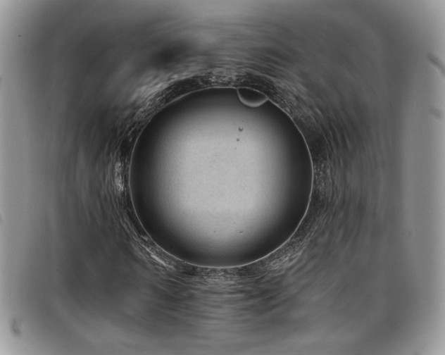 X0000098200962200804241249
