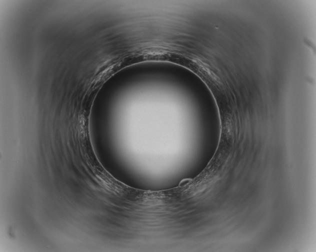 X0000098200964200804241249