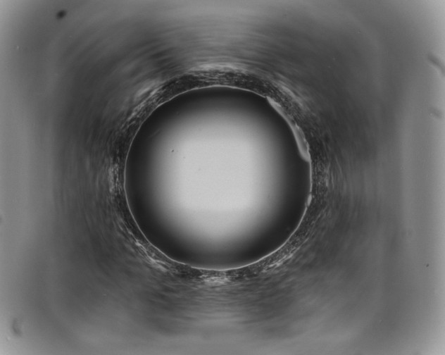 X0000098200965200804241249
