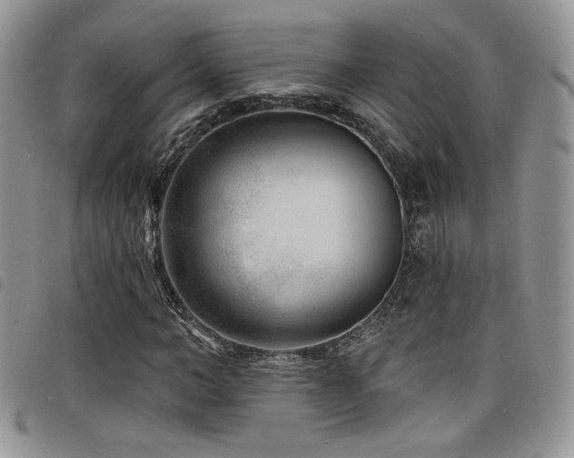 X0000098200966200804241249