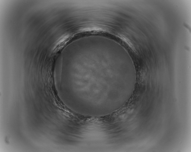X0000098200967200804241249