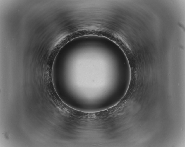 X0000098200968200804241249