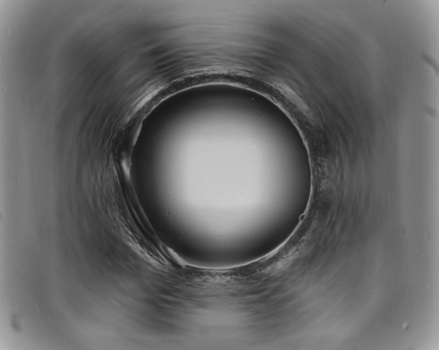 X0000098200969200804241249