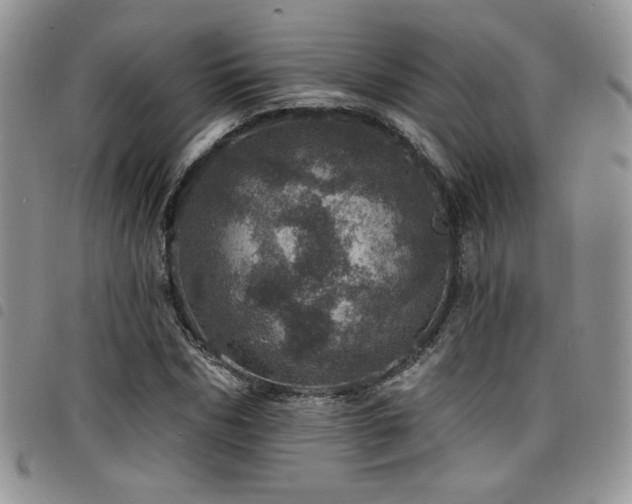 X0000098200970200804241249