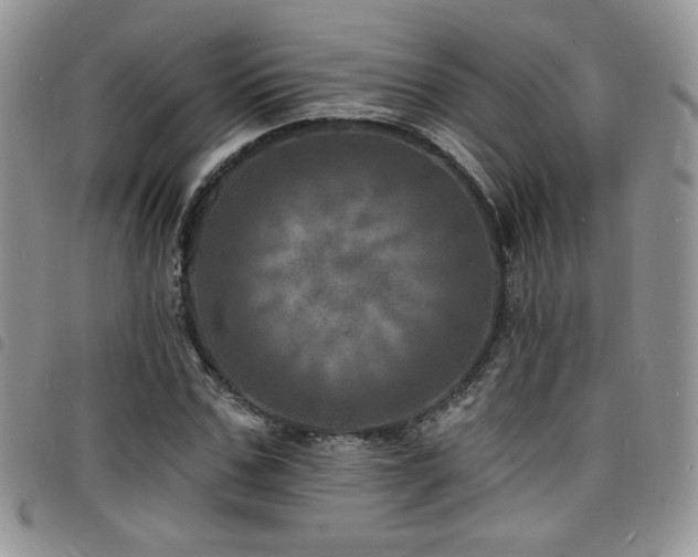 X0000098200971200804241249